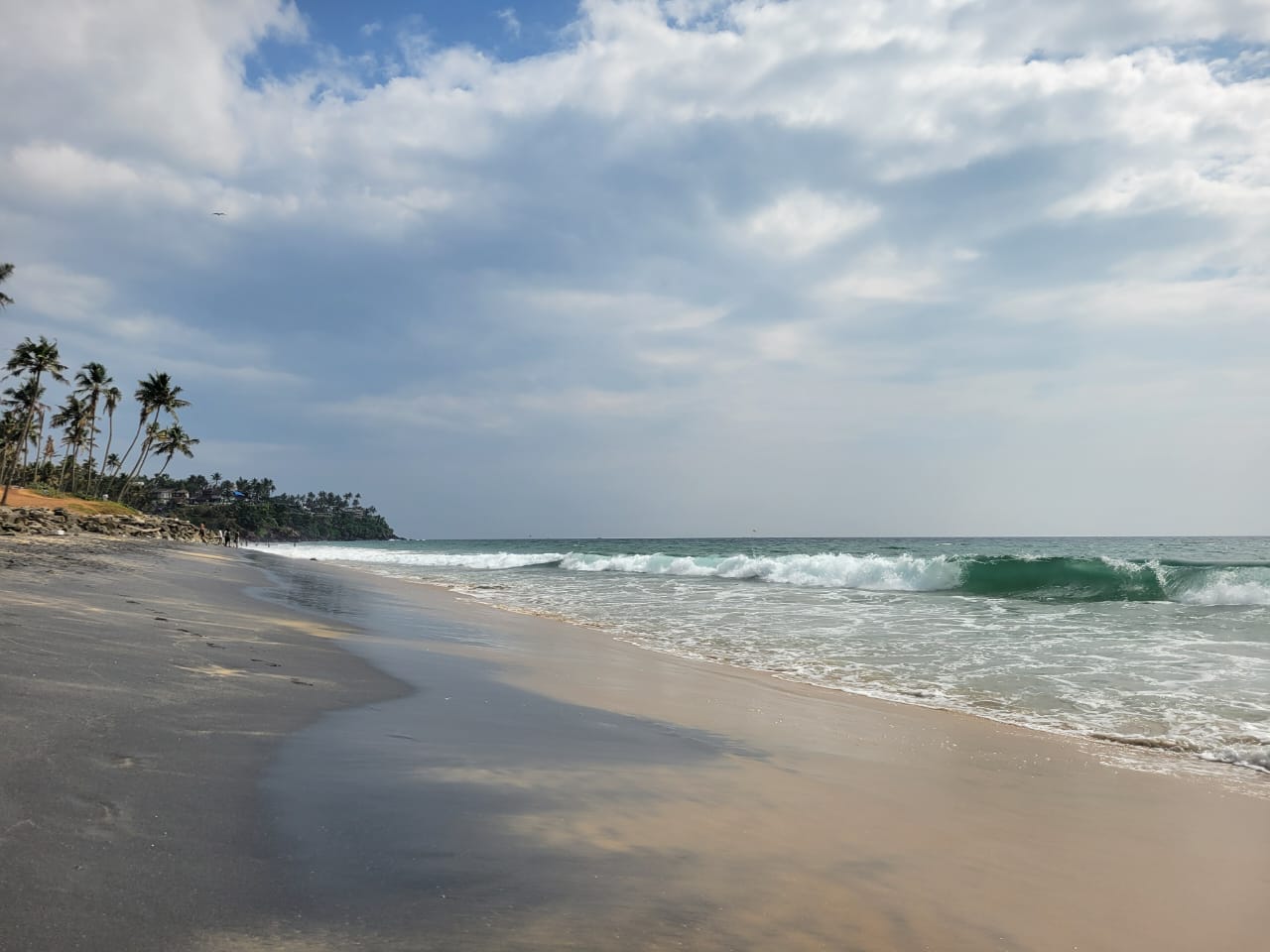 Kannur beach at dawn, waves and palm trees